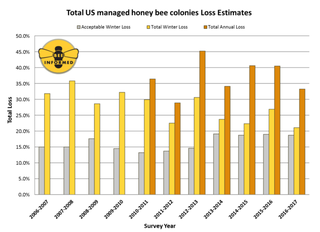 Infographic: Bee Informed